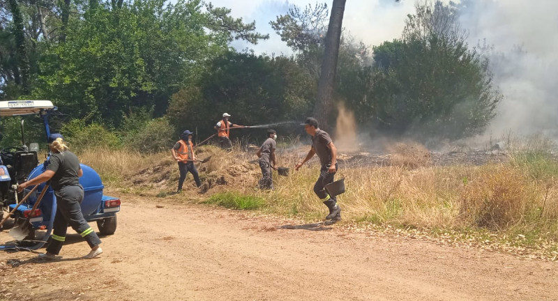 Foto ilustrativa del incendio de La Floresta - Costa Azul, compañeros y compañeras del área operativa del Municipio realizando cortafuegos para evitar la propagación del fuego.
