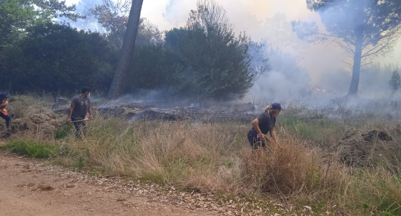 Foto ilustrativa del incendio de La Floresta - Costa Azul, compañeros y compañeras del área operativa del Municipio realizando cortafuegos para evitar la propagación del fuego.