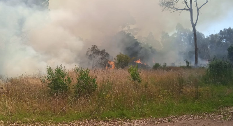 Foto ilustrativa del incendio de La Floresta - Costa Azul.
