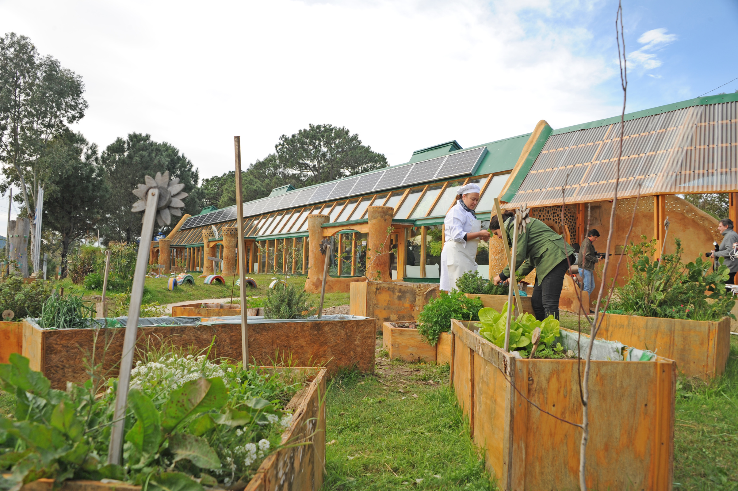 Jardín de la Escuela con cultivos en macetas de madera.