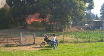 Foto ilustrativa del incendio de La Floresta avanzando cerca de una vivienda.